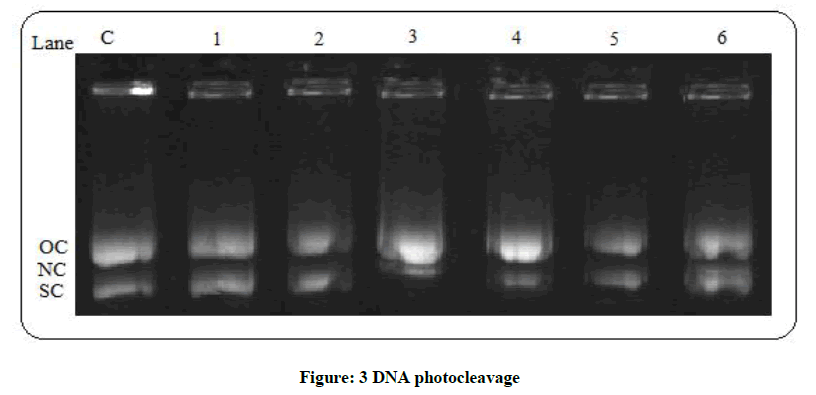 derpharmachemica-DNA-photocleavage