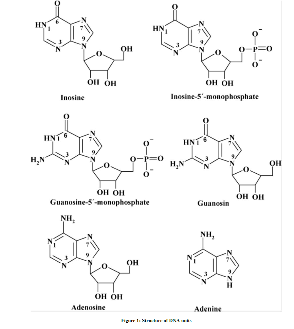 derpharmachemica-DNA-units