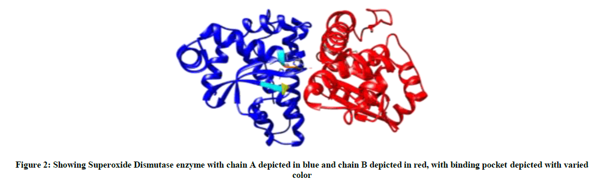 derpharmachemica-Dismutase-enzyme