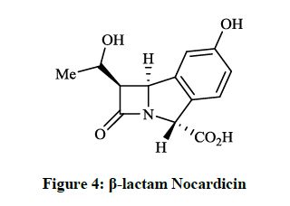 derpharmachemica-Nocardicin