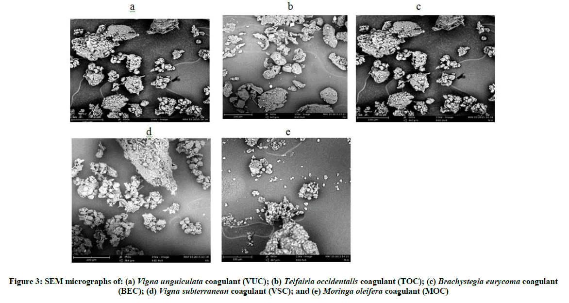 derpharmachemica-SEM-micrographs