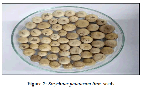 derpharmachemica-Strychnos-potatorum