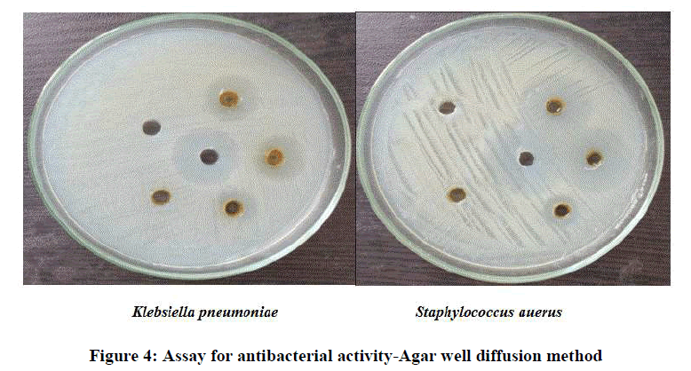 derpharmachemicadiffusionmethod