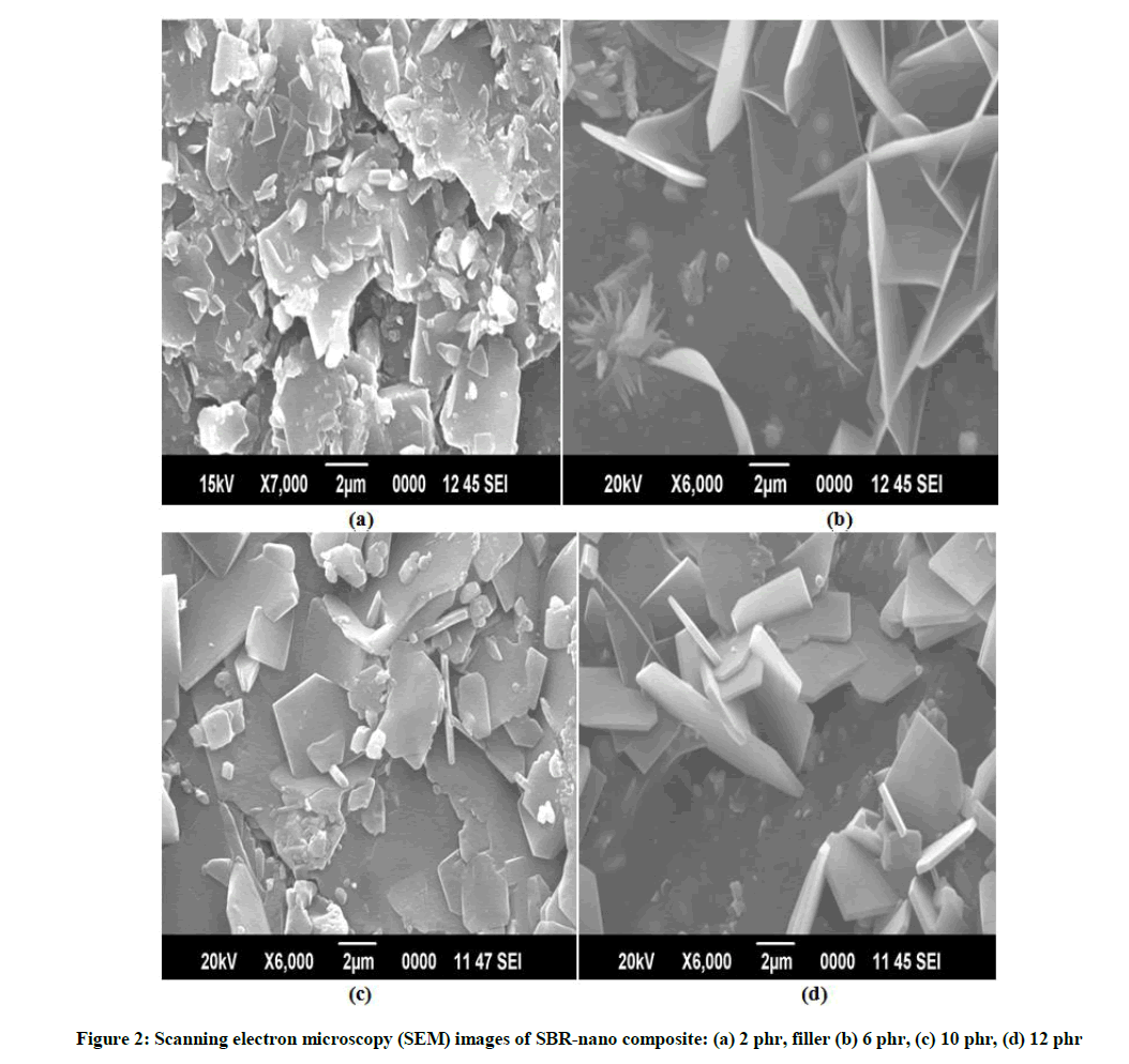 derpharmachemica-electron-microscopy