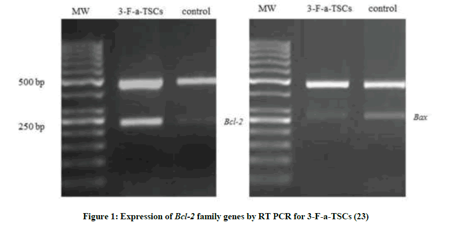 derpharmachemica-family-genes