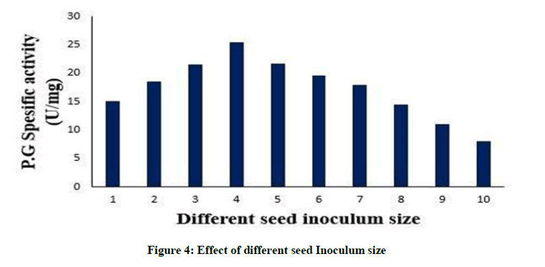 derpharmachemica-seed-Inoculum